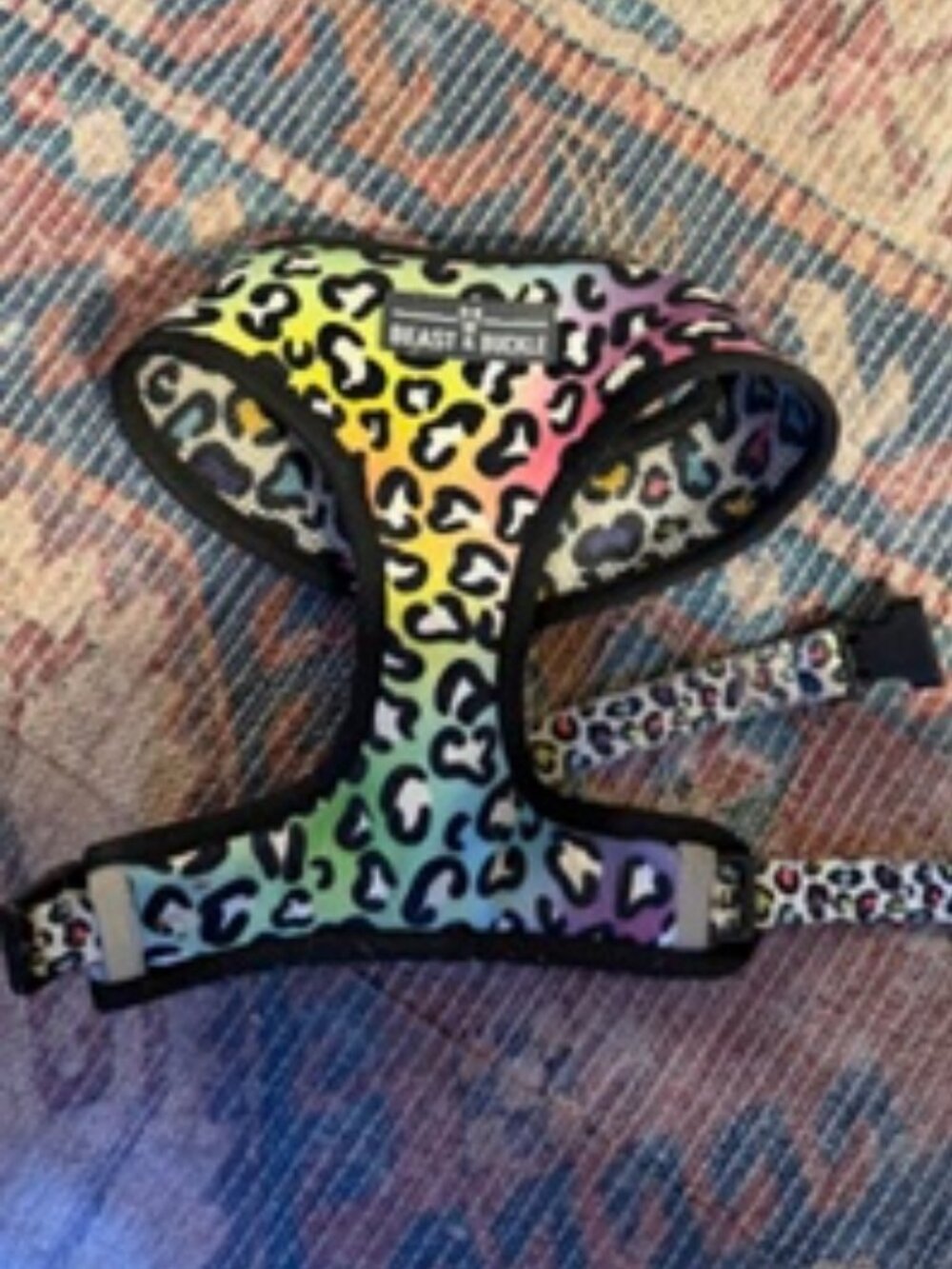 Frenchie Bulldog Duo Reversable  Dog Harness  size L